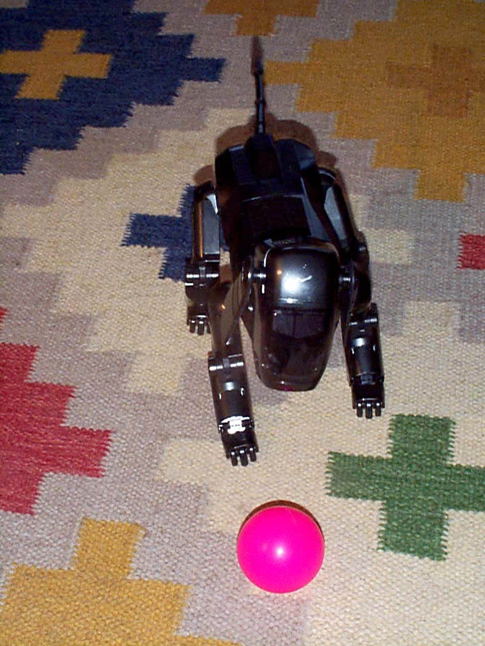 06